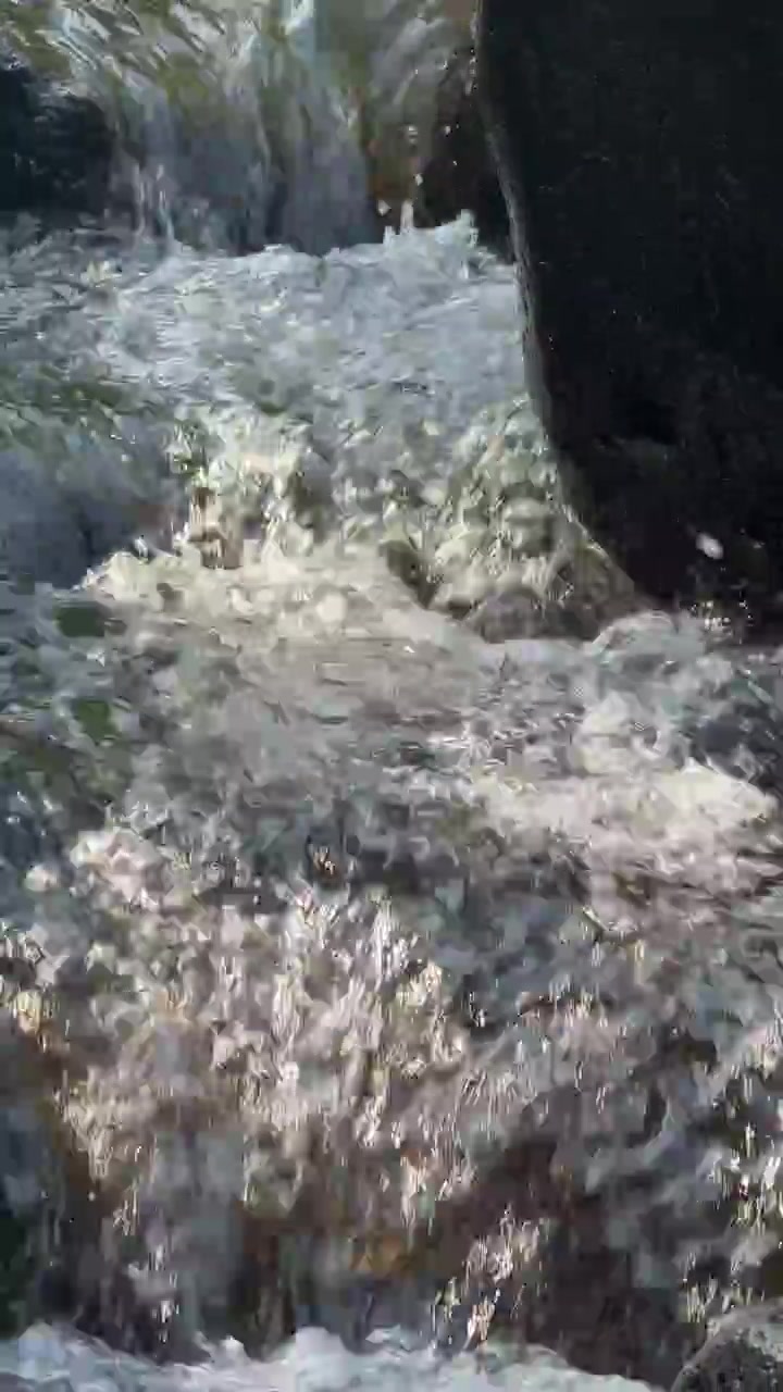 Acqua limpida che scorre sulle rocce in un ruscello di montagna