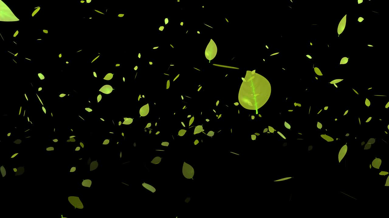 노란색 죽은 잎, 가을의 잎, 추석, 떠오르는 입자, 모션 그래픽