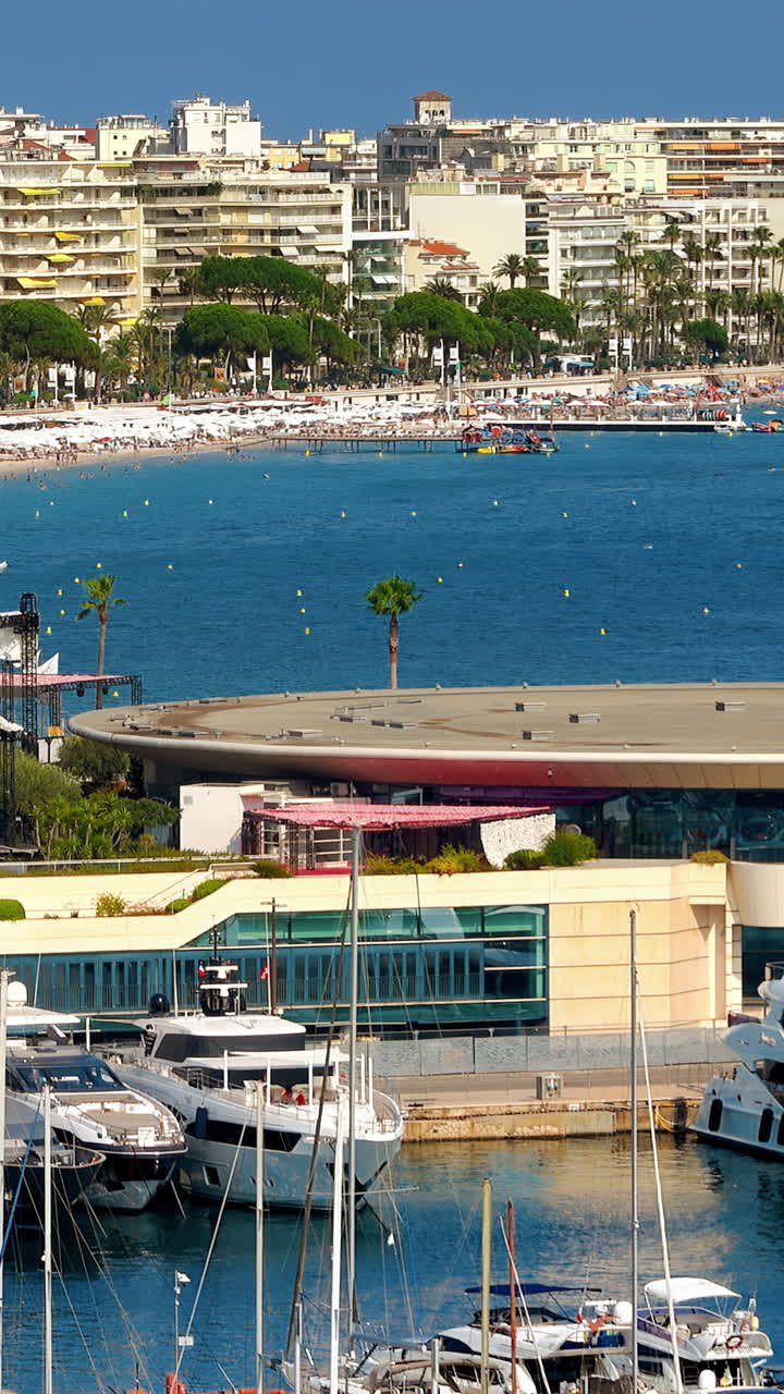 Vista aerea delle barche ormeggiate nel Port de Cannes. Verticale, Cannes, Francia