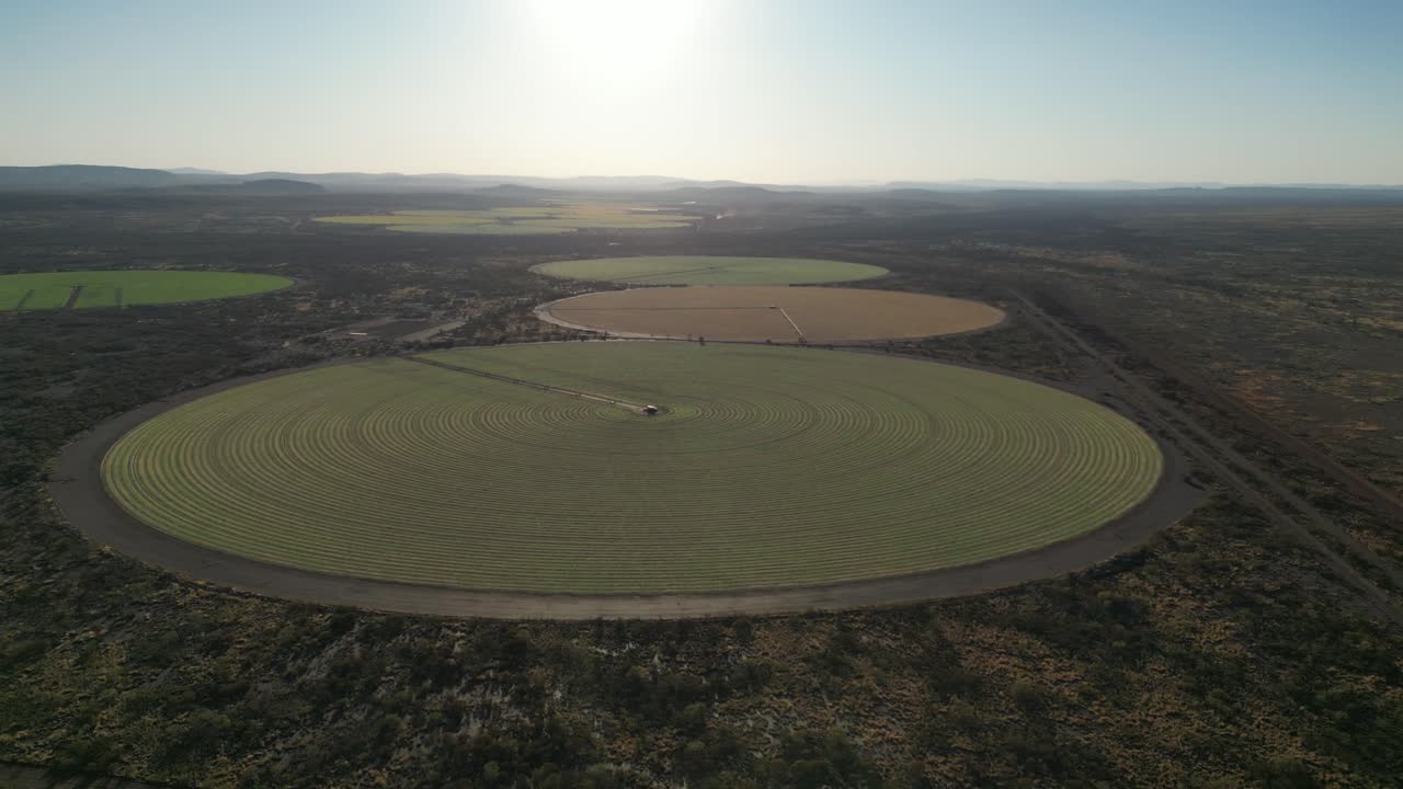 campos de círculos de cultivo en tierras de cultivo, paisaje rural en australia occidental