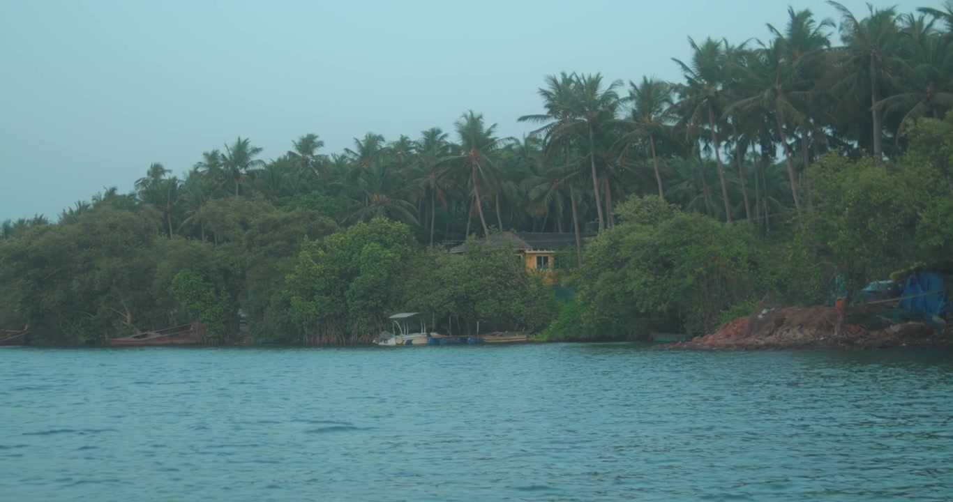 Acque calme del fiume delimitate da una lussureggiante vegetazione tropicale a Goa, India, creando un paesaggio scenografico e pacifico per sfondi di viaggio, turismo, natura e ambiente