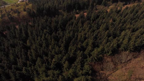 Disparo-De-Dron-Que-Viaja-Hacia-Atrás-Desde-Un-Bosque-Que-Revela-El-Embalse-De-Lady-Bower-En-La-Lejana-Toma-Cinematográfica-Suave-En-4k-En-Mavic-Air