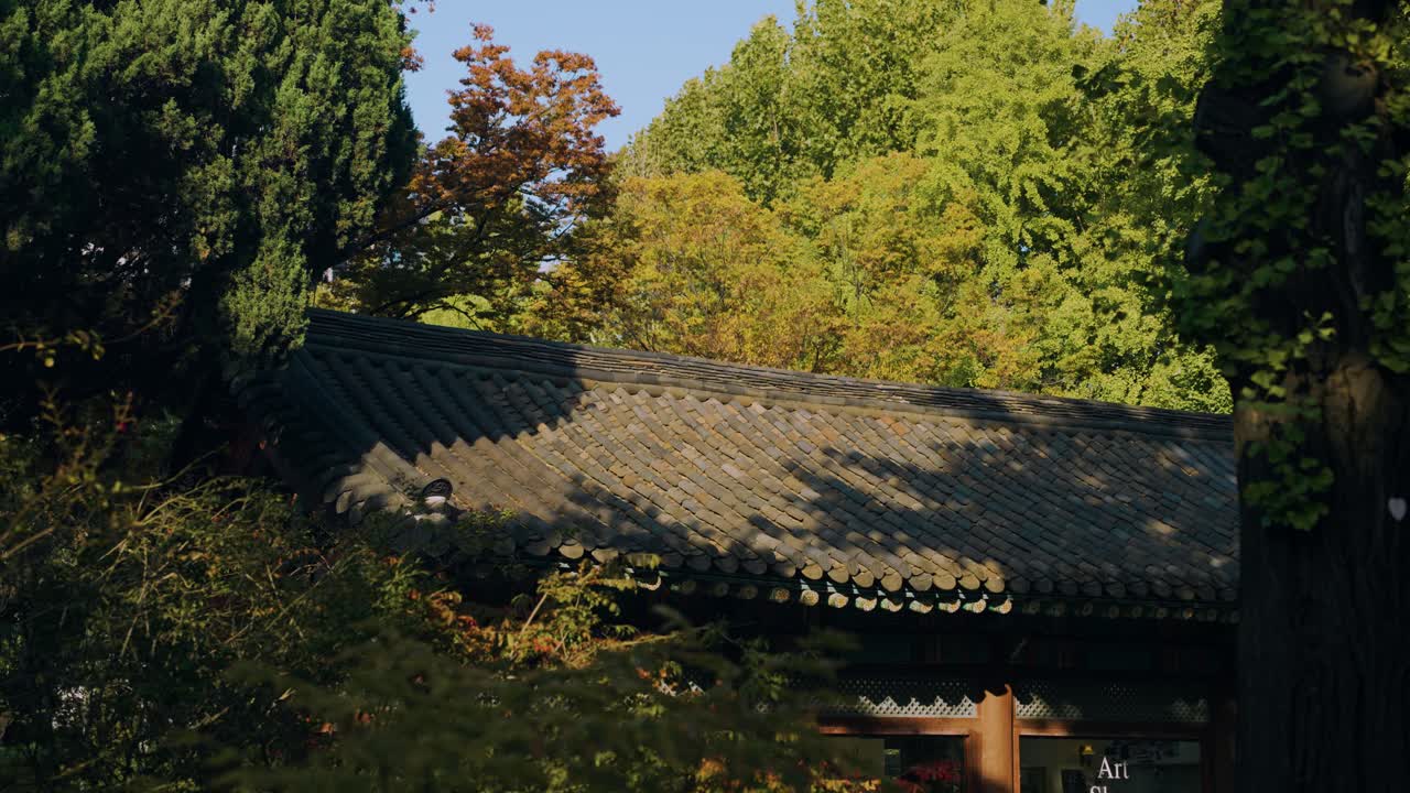Ancient Korean Architecture Of Deoksugung Sarang Cafe In Deoksugung Palace, Seoul, South Korea. Slide Shot