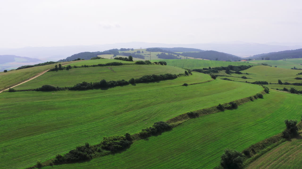 Panoramic View of Verdant Green Rolling Hills and Countryside
