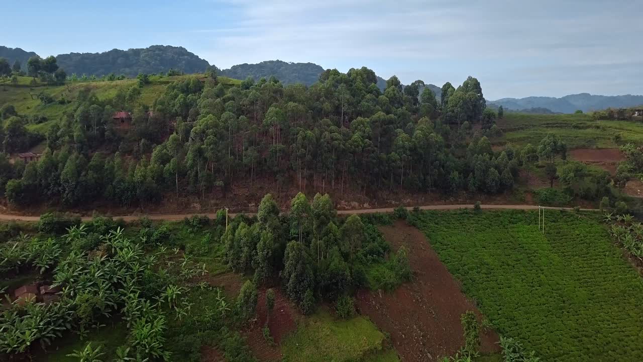 Aerial drone shot of terraced farming fields, banana plantations and small rural villages on hillsides near Bwindi Impenetrable National Park, Kanungu District, southwestern Uganda