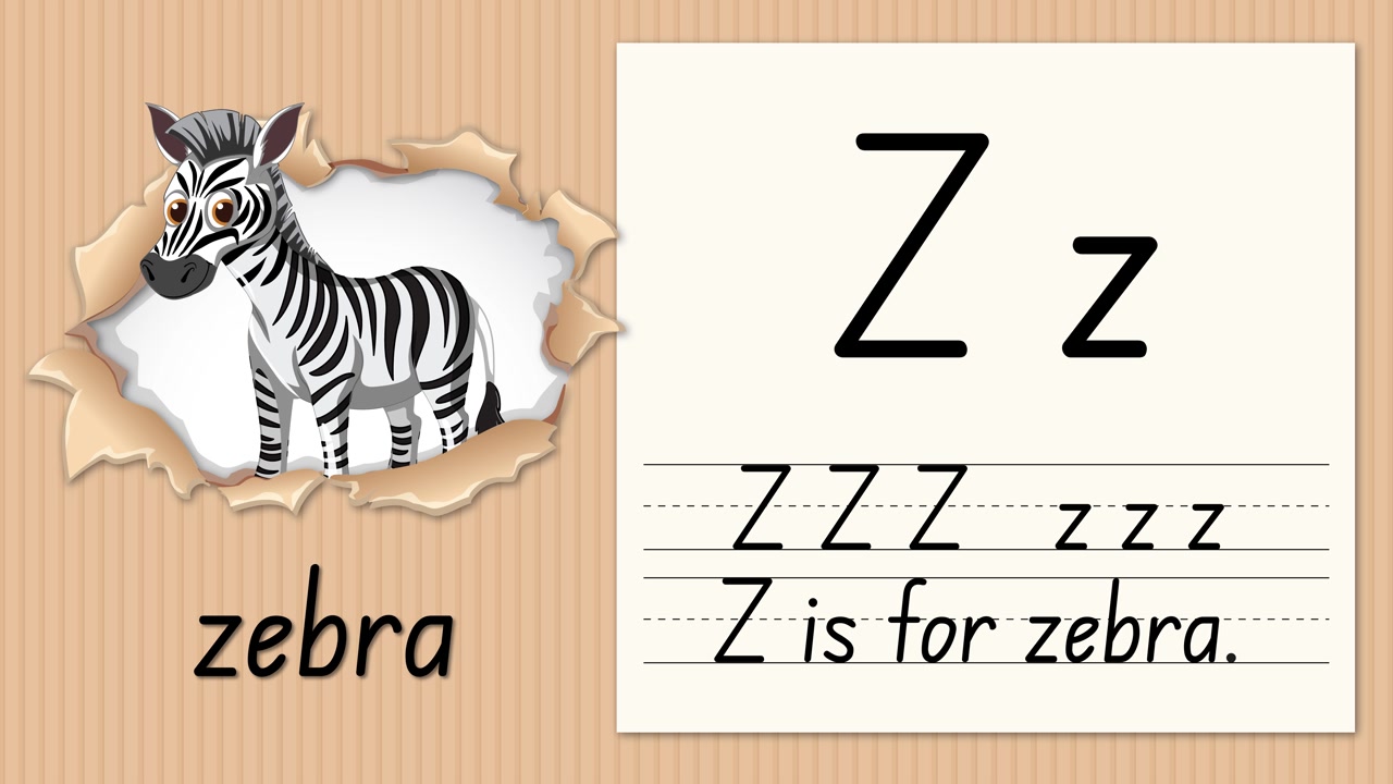 Animeret undervisningsvideo lærer bogstavet Z ved hjælp af en zebra-illustration og håndskriftøvelse på papir.