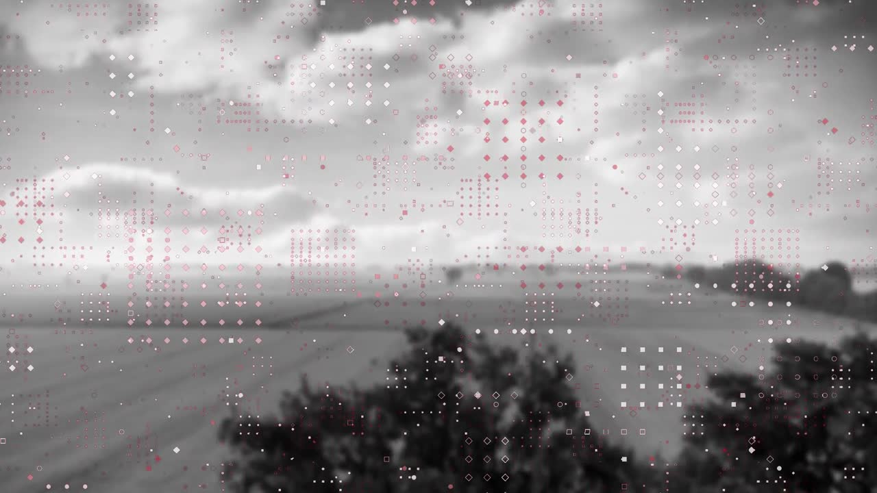 animación de redes de puntos que se mueven sobre el campo en blanco y negro y el fondo del cielo nublado