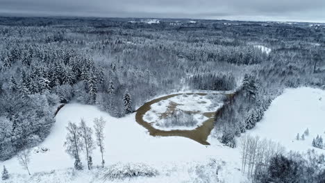 Bosque-En-Invierno-Abeto-Pino-Cubierto-De-Nieve-Vista-Aérea-Drone