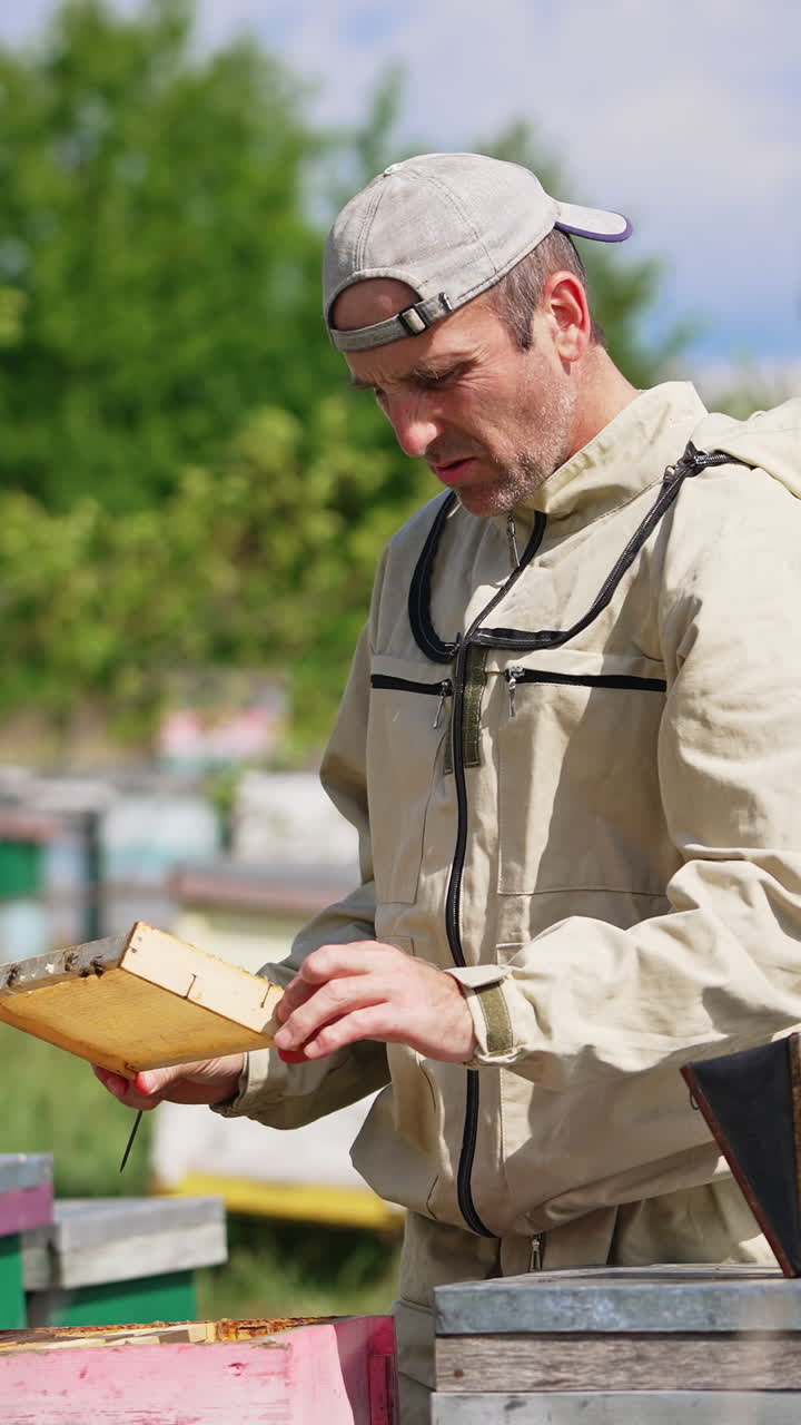 Adult male apiarist pulls an empty half-frame out of a hive. Man smiles satisfactory and takes another frame with bees to place it in the hive. Vertical video