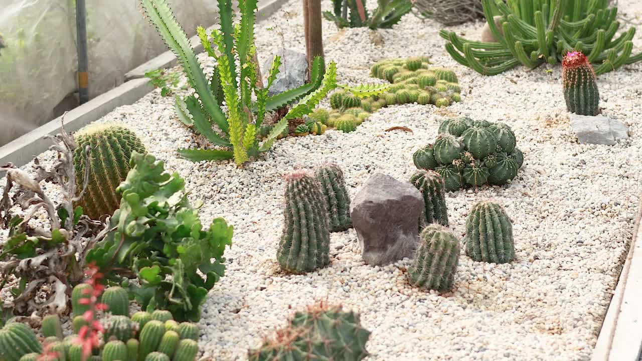 온실 환경에서 티와 수풀