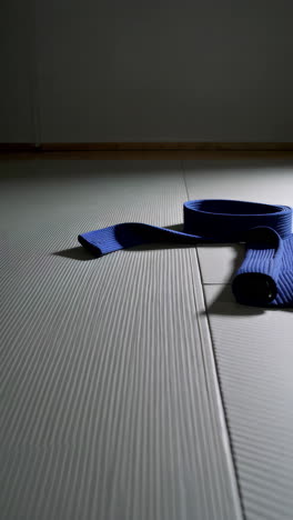 blue martial arts belt on tatami