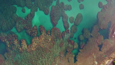 birdseye drone aerial view of puerto viejo beach shore with reef, 4k costa rica