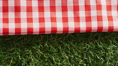 Close-up-of-red-and-white-checkered-blanket-on-grass-with-copy-space