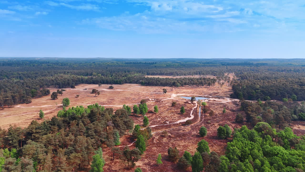 Dry barren area in the forest. A little pond is in the middle of the scenery. Aerial view.