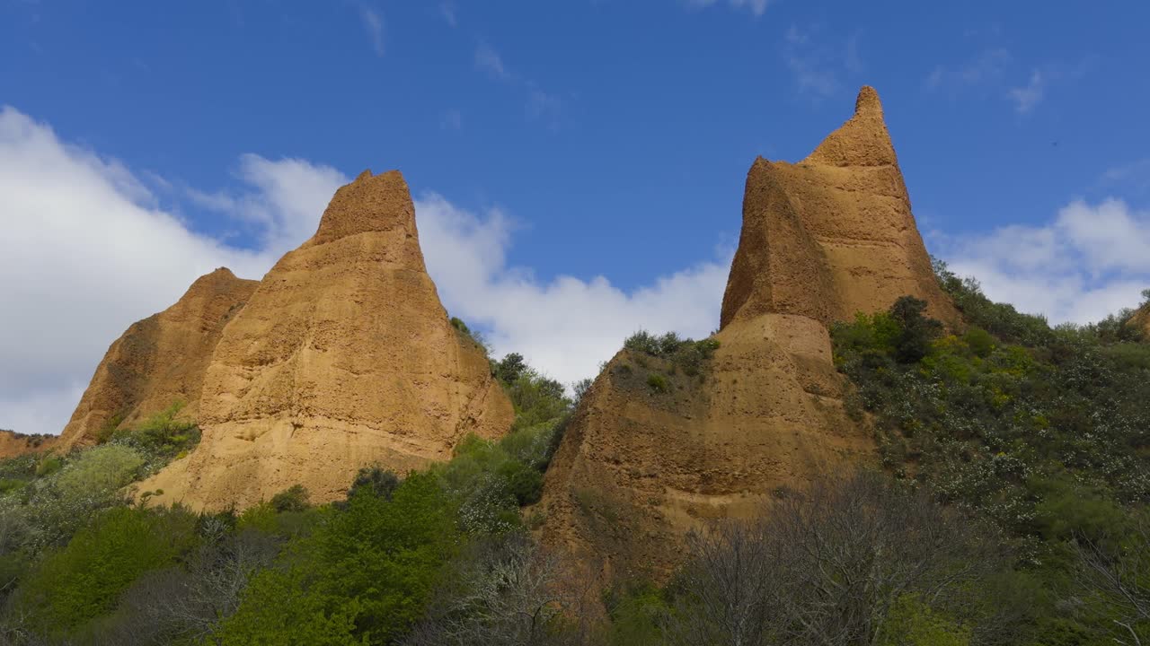 Breataking Golden Mountains Surrounded By Vegetation And A Bunch Of Trees