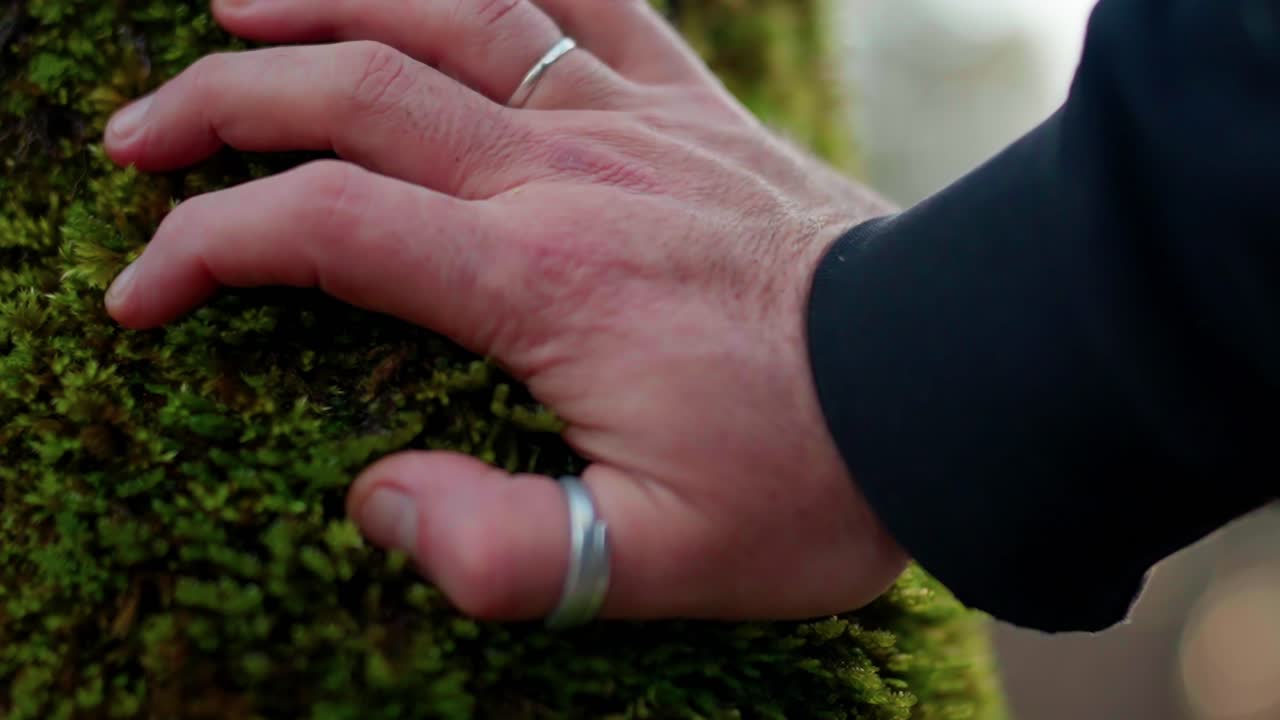 Slow motion close up. Male hand touches green moss on tree trunk. Man feeling nature texture in forest. High frame rate shot of tactile sensation and connection with environment