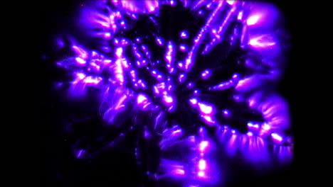 Kirlian-Fotografie-Des-Geranienblattes-Des-Kranichschnabels