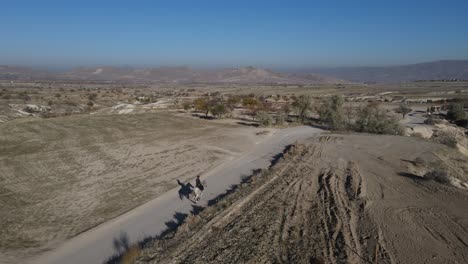 un caballo de paseo aéreo