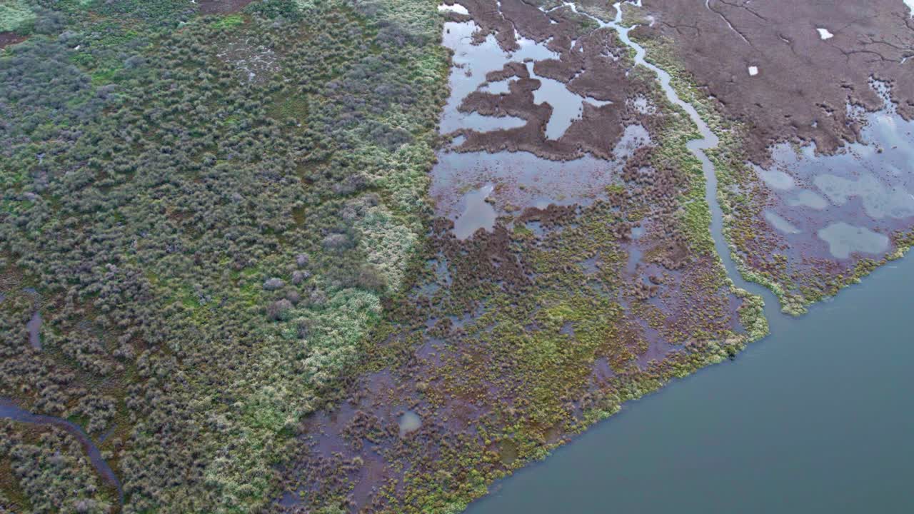 vista aérea de diferentes tipos de vegetación y agua en el lago connewarre cerca de barwon heads, victoria, australia