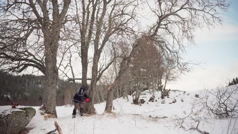 man cutting logs with chainsaw in the forest during winter - wide shot