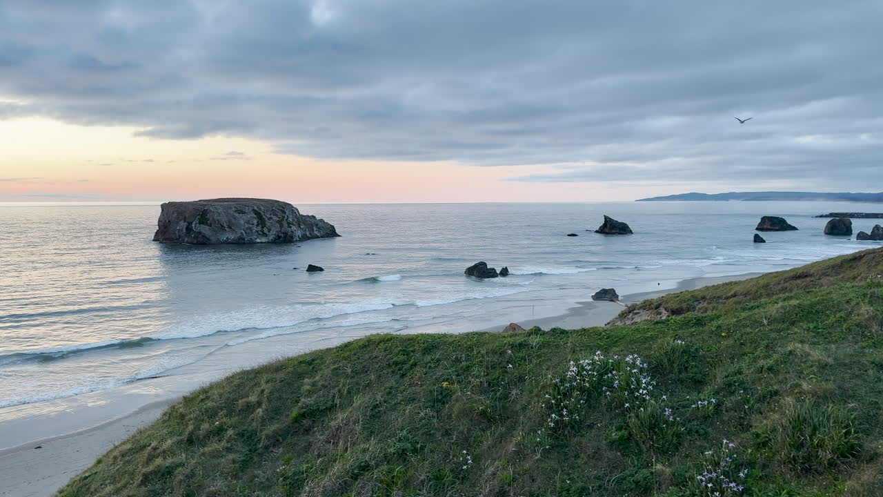 Dramatic sunset in Bandon Oregon with wildflowers. Panning shot of ocean and green coast.