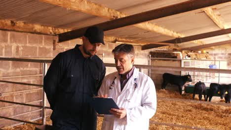 un ganadero y un veterinario interactuando entre sí mientras usan una tableta digital