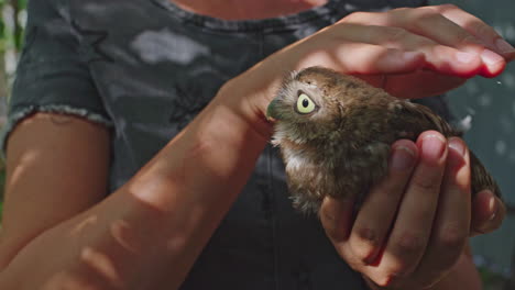 woman holding a baby owl