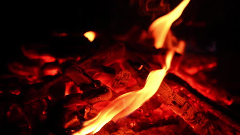 firewood burning concept. close up flame of campfire.