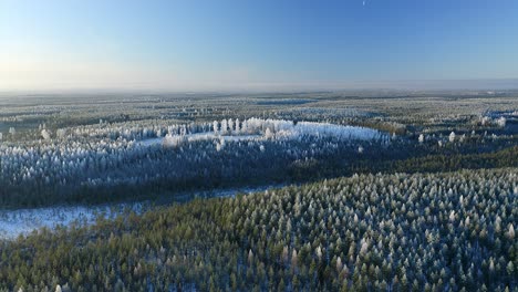 Forward-moving-aerial-over-winter-forest-scene-with-frozen-white-trees-on-a-hill