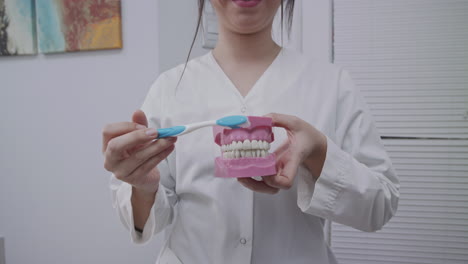 médico que muestra cómo cepillarse correctamente los dientes en un modelo dental con un cepillo de dientes