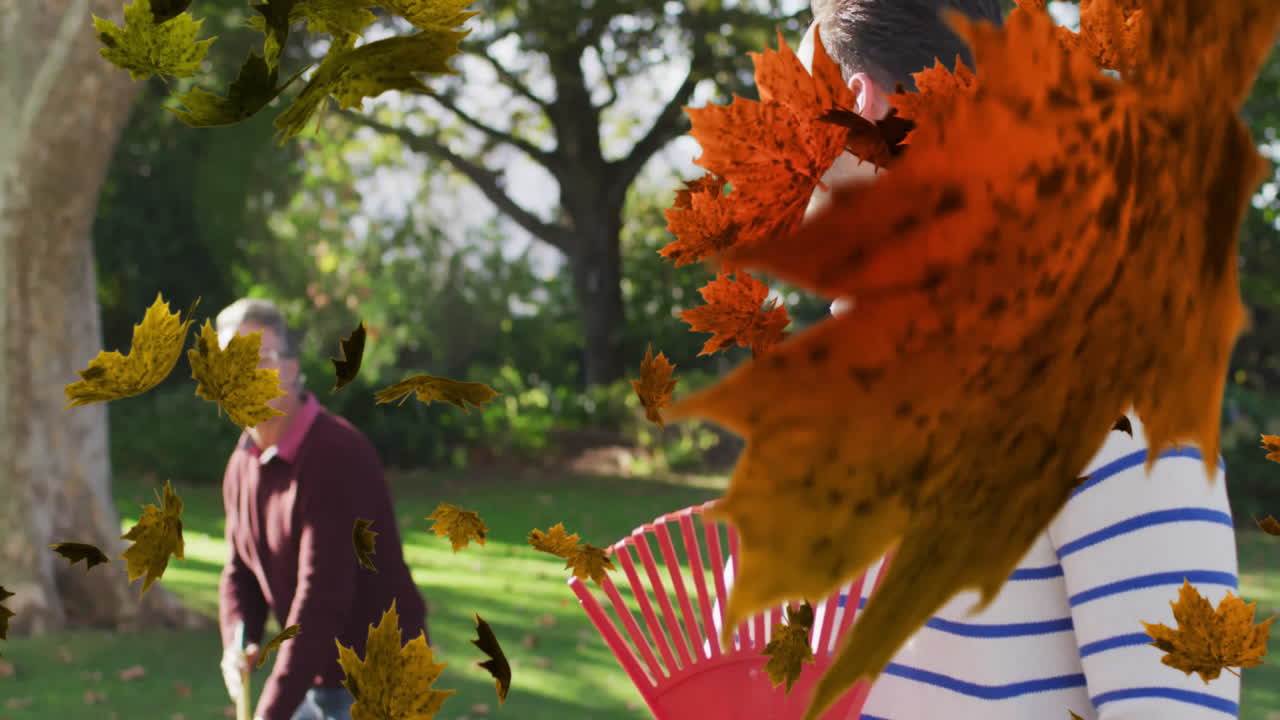 성인 아들과 함께 공원에서 는 백인 아버지의 가을 잎의 애니메이션