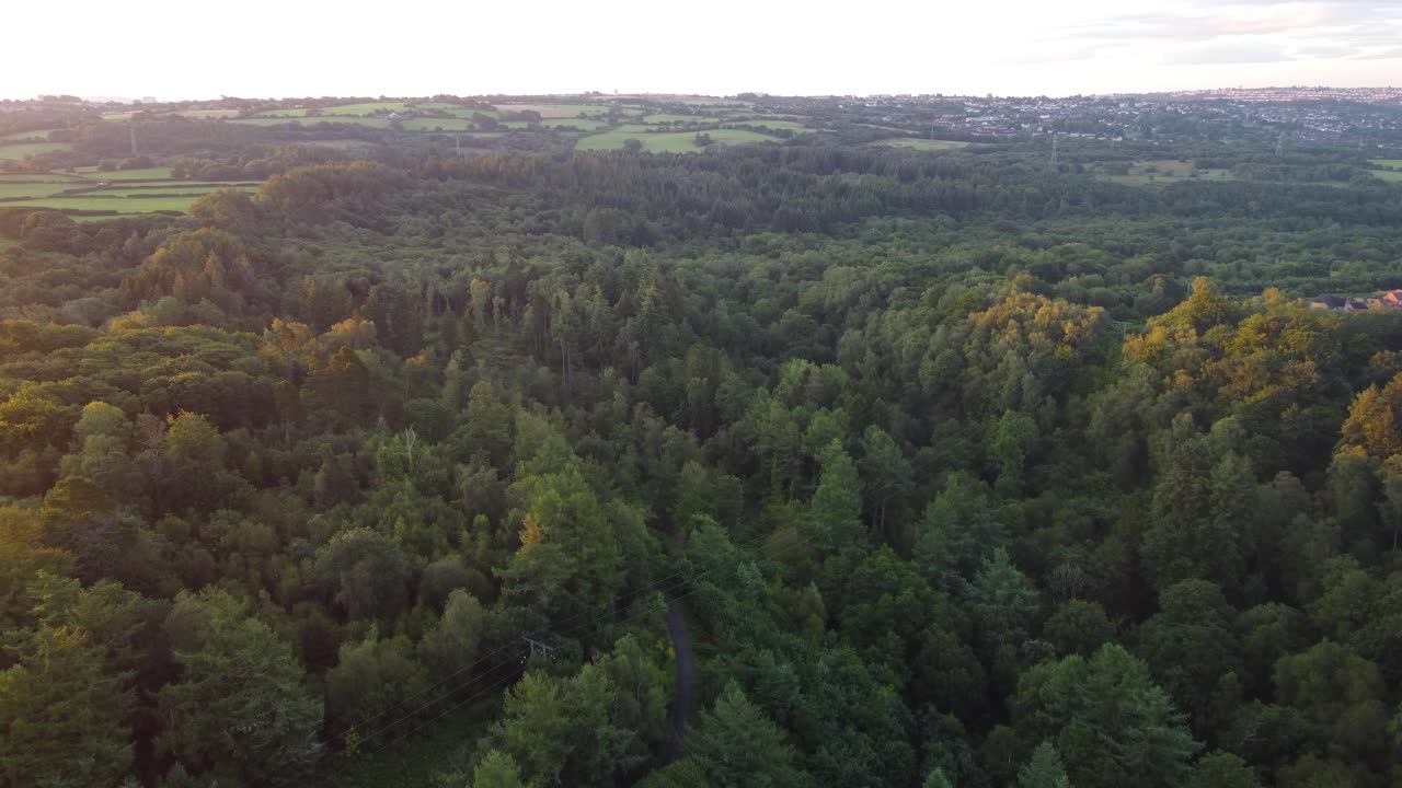 Luftfoto af dyb skovdal med solopgangsglød i Storbritannien.
