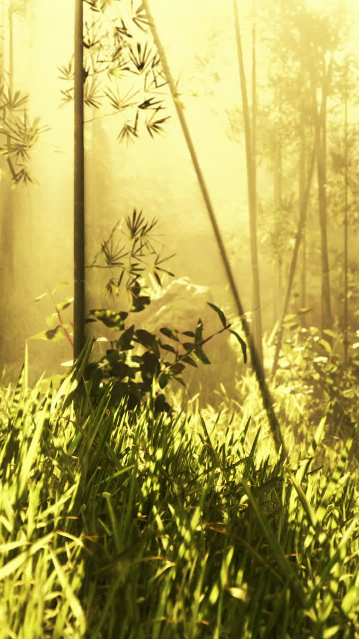 el bosque de bambú dorado