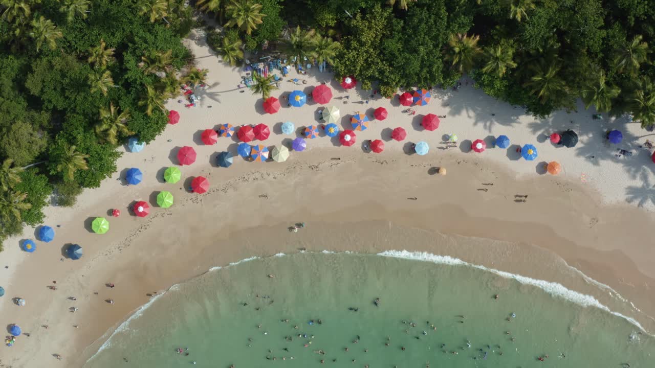 Rising aerial drone bird's eye wide shot of the popular tropical Coquerinhos beach with colorful umbrellas, palm trees, golden sand, turquoise water, and tourist's swimming in Conde, Paraiba, Brazil