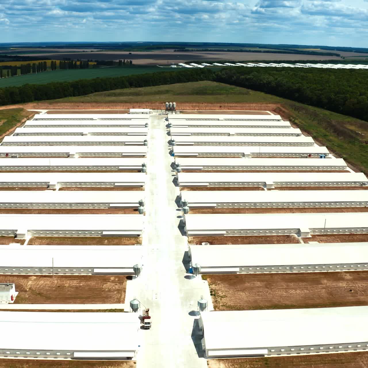 Poultry farm industrial
