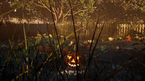 spooky halloween jack-o'-lantern in a mysterious pond