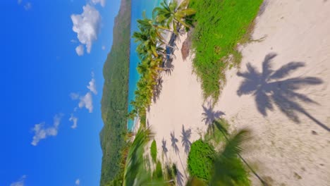 Vertical-FPV-aerial-over-exotic-palm-trees-to-tropical-sand-beach-panorama