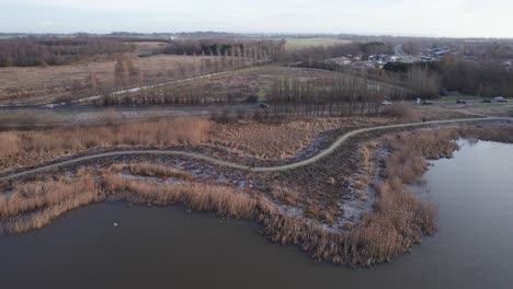 drone footage of a shoreline with reed and cars on a road - truck shot