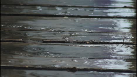 wet wooden deck