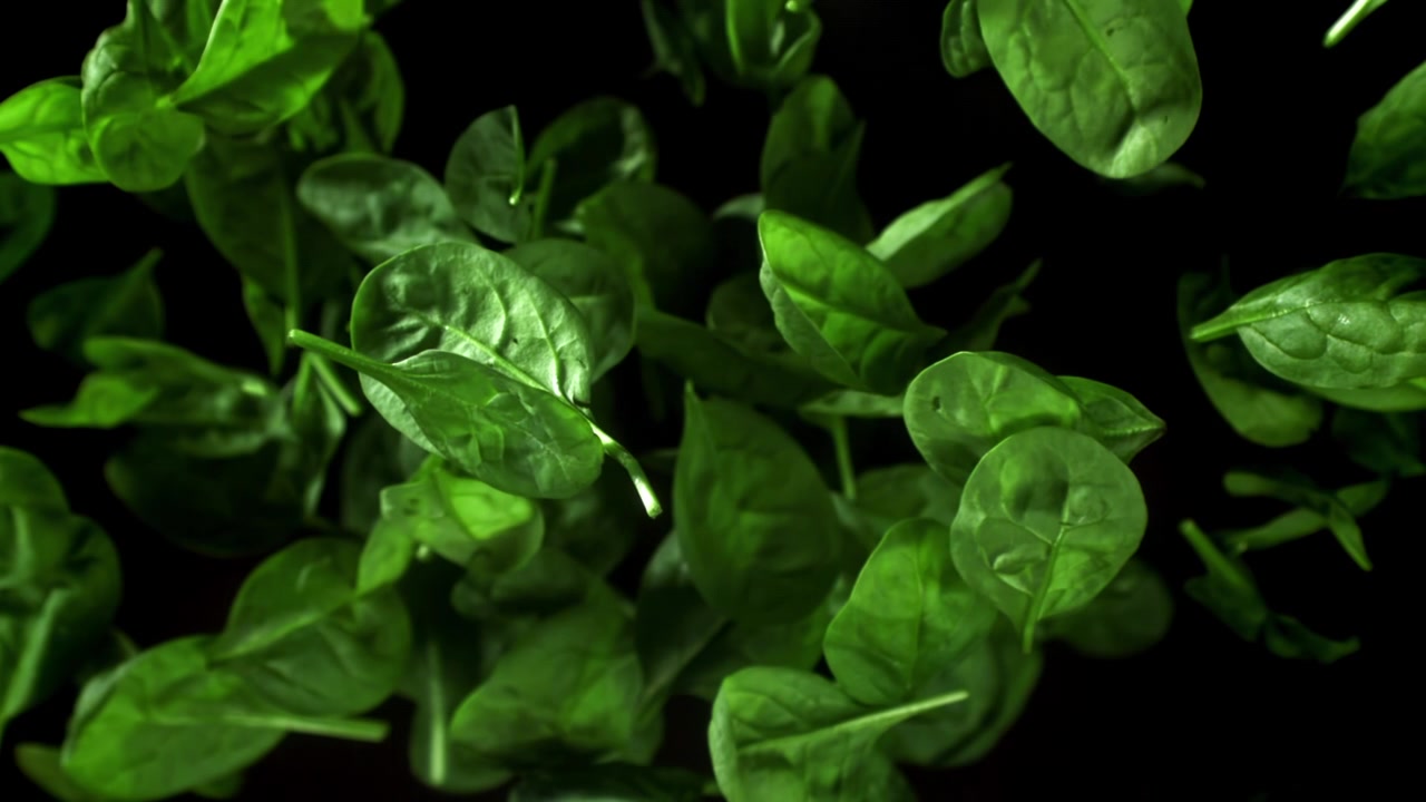 Foglie di spinaci fresche e verdi che cadono al rallentatore
