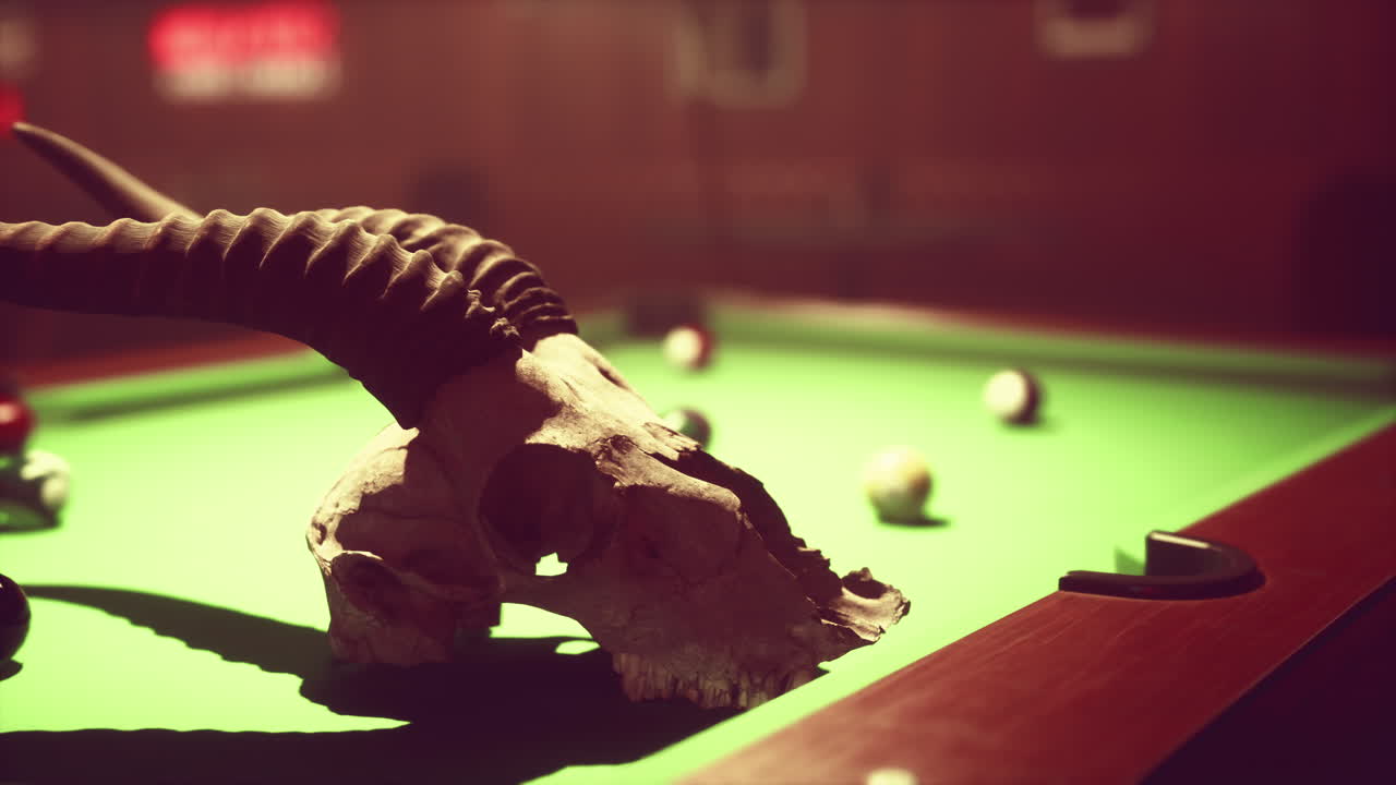 빌리어드 테이블 위의 두개골