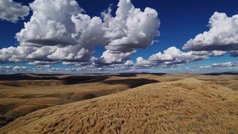 golden prairie grasses covering rolling hills under a sunny sky, with cumulus clouds casting shadows on the ground, creating a serene landscape in montana's vast wilderness