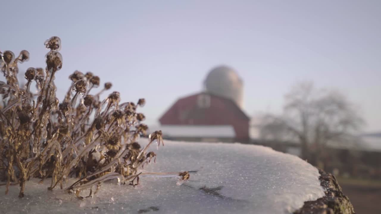 A cold January morning along with some winter precipitation and a bright sunrise make for some interesting details.