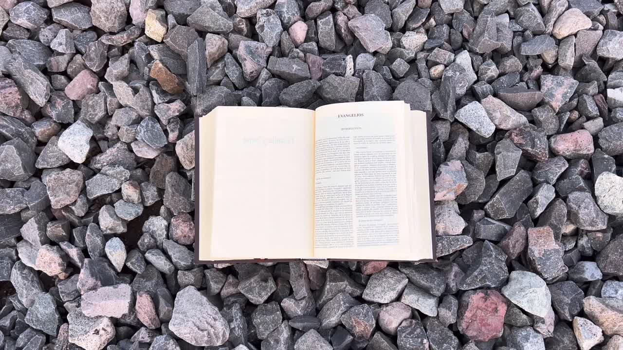 mi biblia es la presencia de dios en la tierra