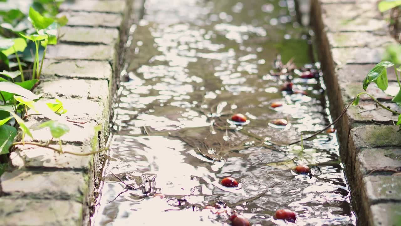 고전적인 대학에서의 몇 가지 물 분수들의 비디오입니다.