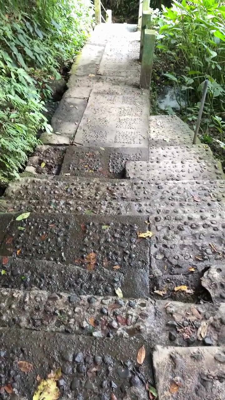 Person Walking Down Wet Stone Steps in Tropical Forest