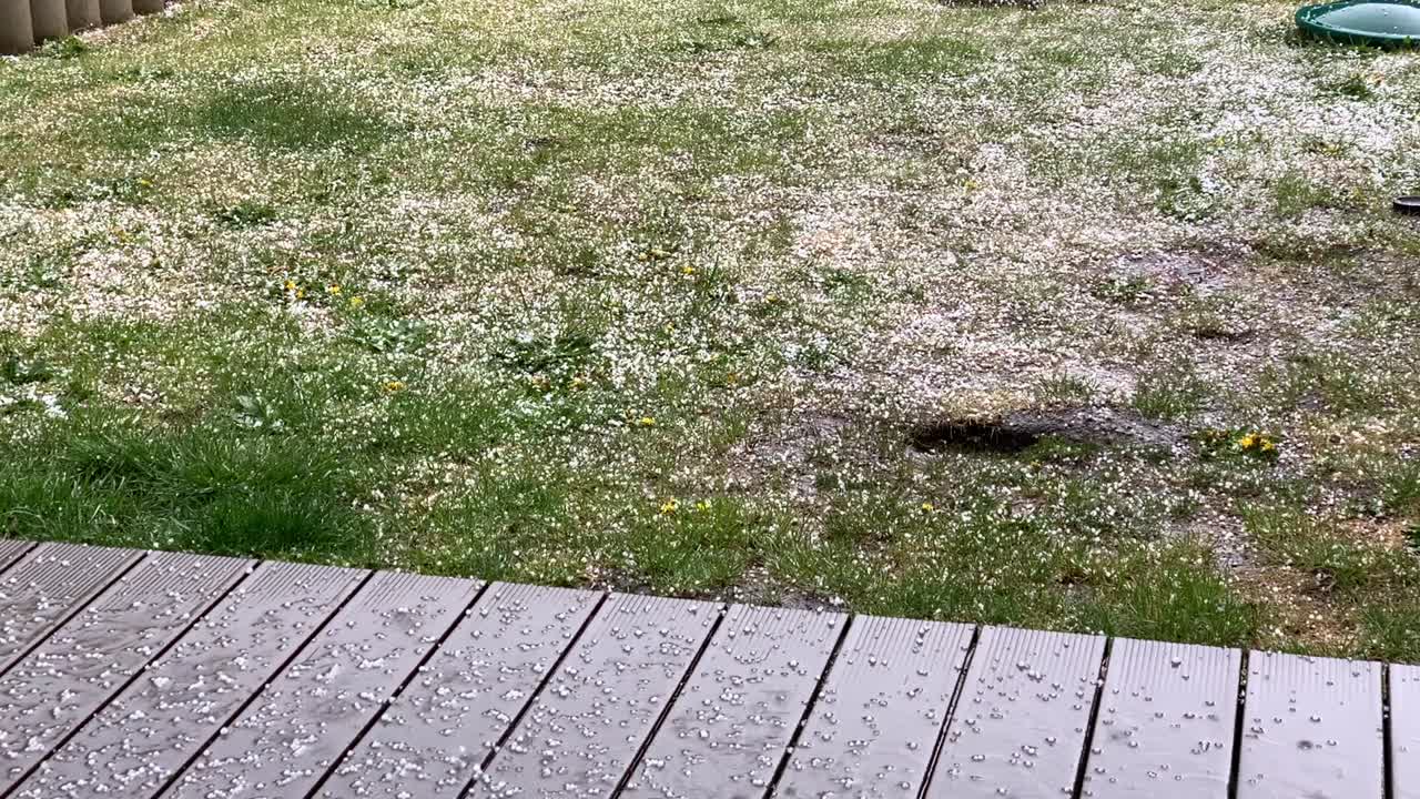a hailstorm comes down in a garden