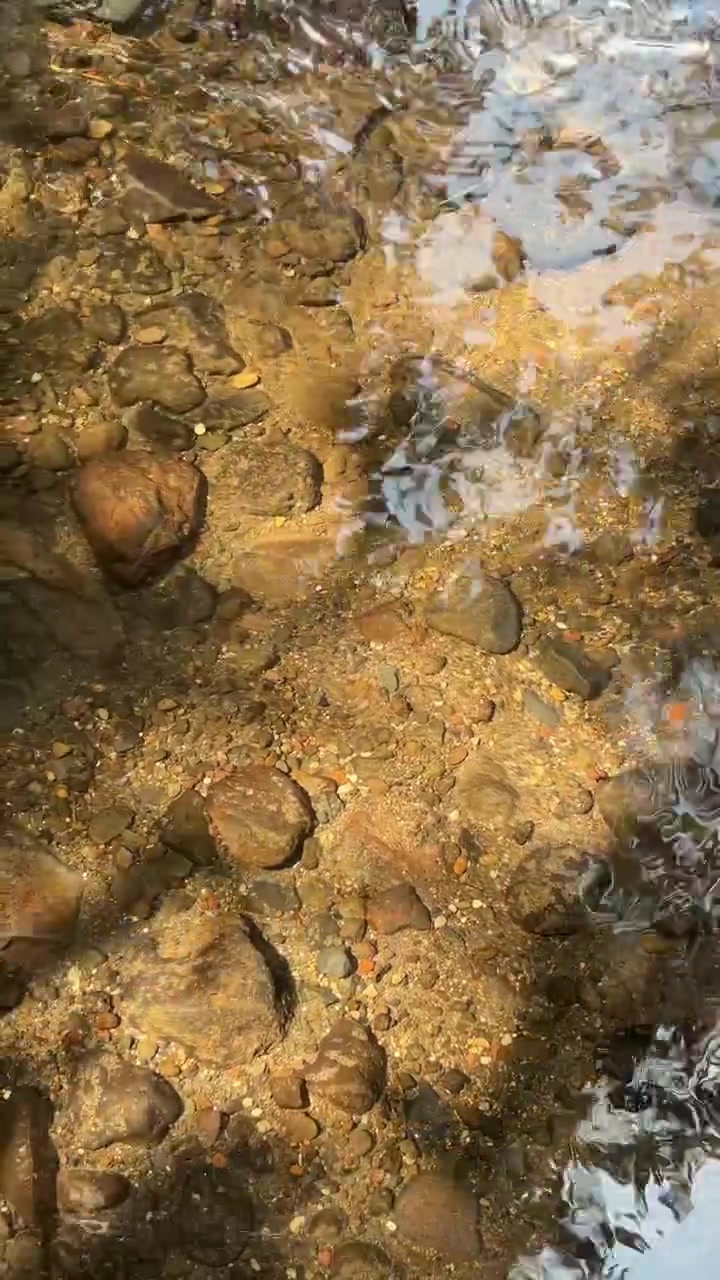 Acqua limpida che scorre su ciottoli in un ruscello poco profondo