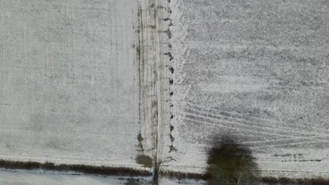 drone mirando hacia abajo volando sobre un campo congelado