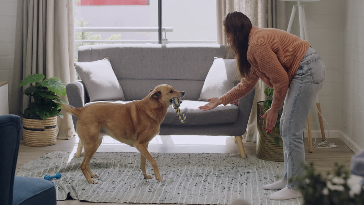 귀여운 털이 있는 갈색 개를 가르치는 백인 여성